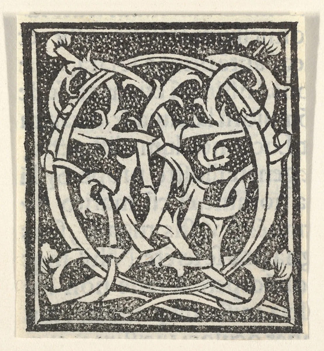 Initial letter Q on patterned background — Anonymous, Italian, 16th century