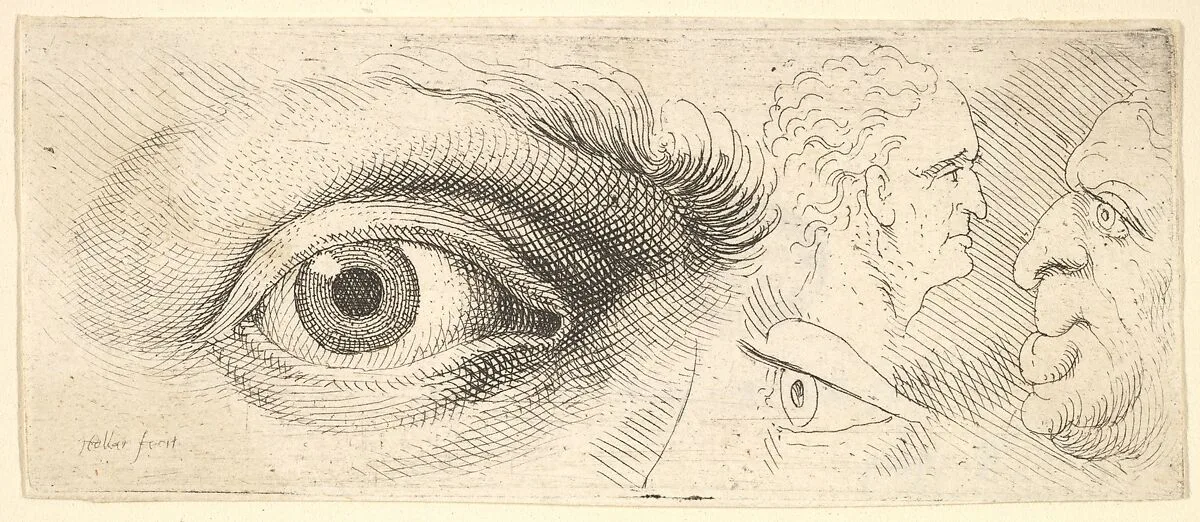 Two eyes and two heads — Wenceslaus Hollar