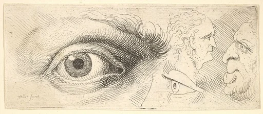 Two eyes and two heads