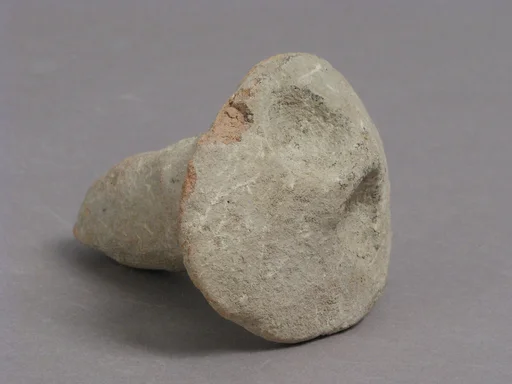 Lid