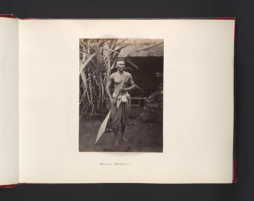 Siamese Boatman