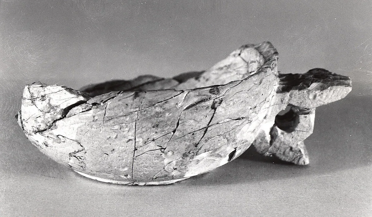 Fragment — Unknown