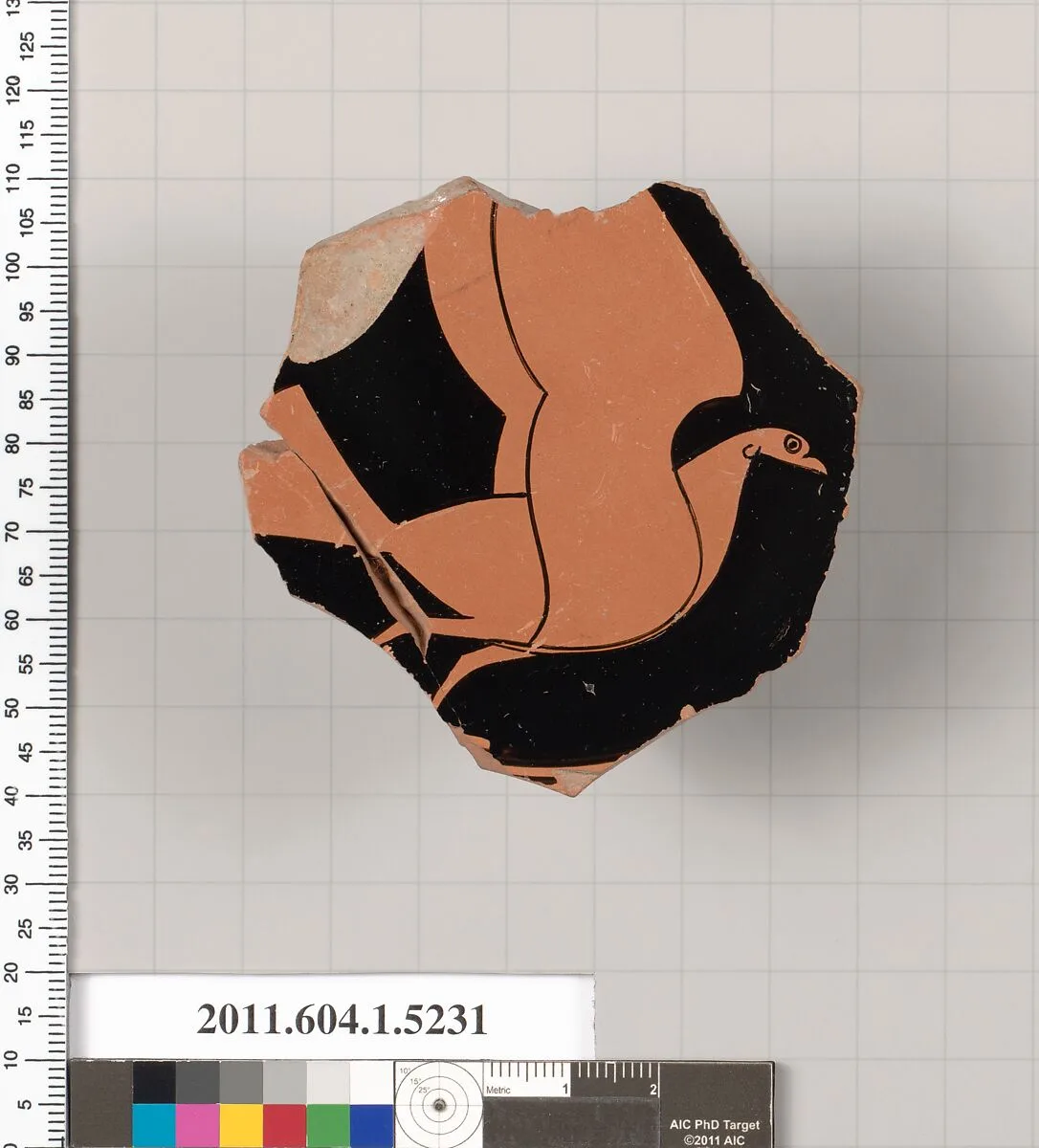 Terracotta fragment of a kylix (drinking cup) — Unknown
