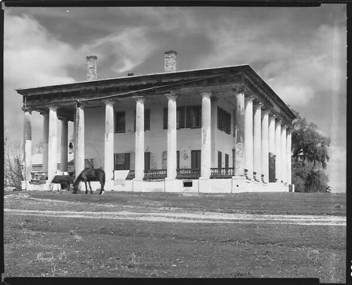[Greenwood Plantation House with Horses Grazing, Louisiana]