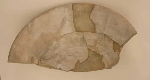 Fragment of a Bowl with White Glaze