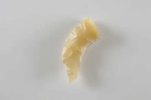 Fragment of a bifacial tool