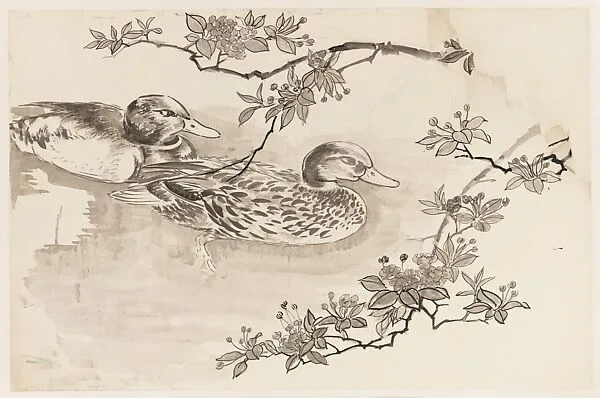 現代 謝稚柳 枝下遊鳧圖 鏡片|Ducks and Blossoming Branches — Xie Zhiliu