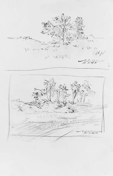 Trees at Amagansett, Long Island: Two Studies — Arthur B. Davies