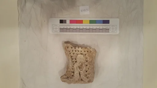 Stucco Fragment