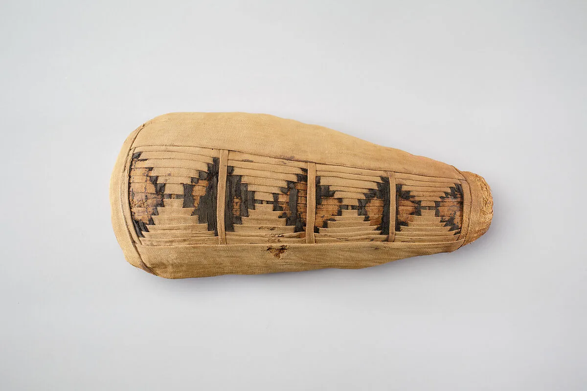 Sacred animal mummy containing small ibises — Unknown