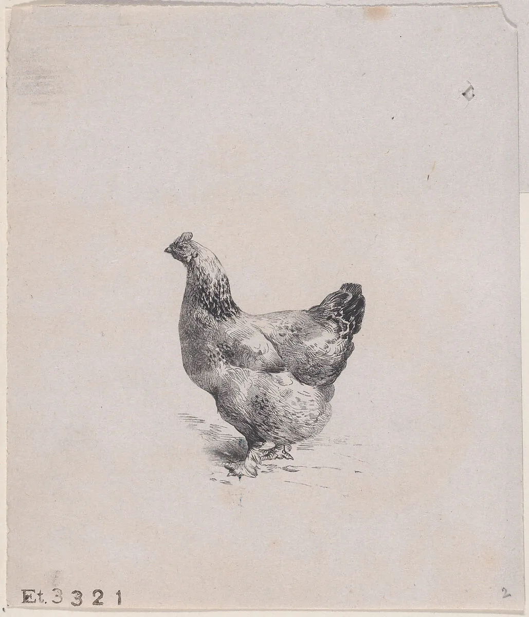 From The Henhouse — Charles Jacque|Jacques-Adrien Lavieille
