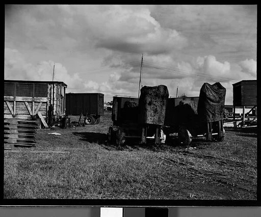 [Covered Train Cars, Circus Winter Quarters, Sarasota, Florida]