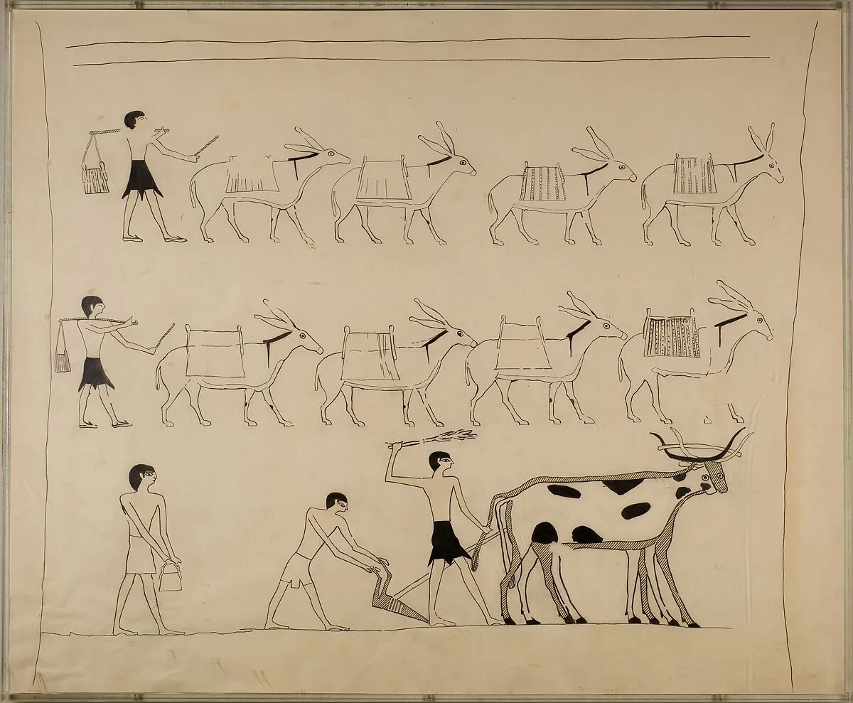 Laden Donkeys and Men Plowing, Tomb of Djari — Unknown Copyist