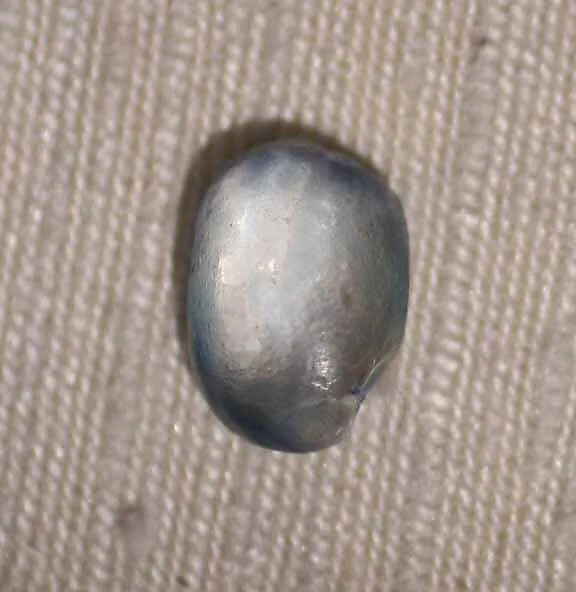 Ring Stone — Unknown