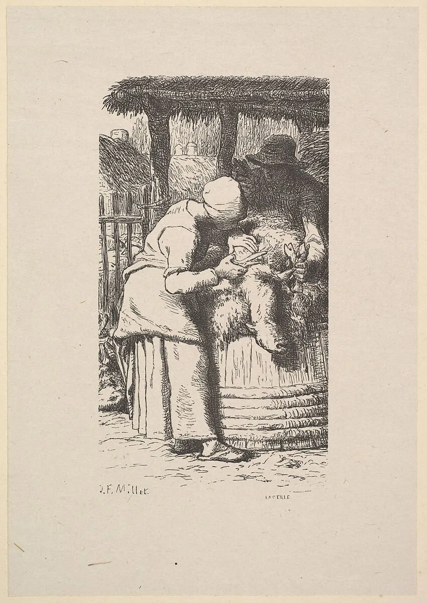 Sheepshearing — Jean-François Millet|Jacques-Adrien Lavieille