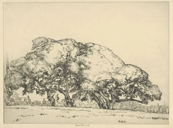 Four Live Oaks — Ernest Haskell