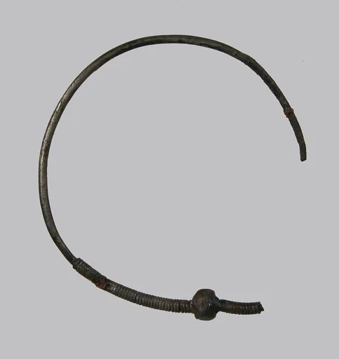 Earring