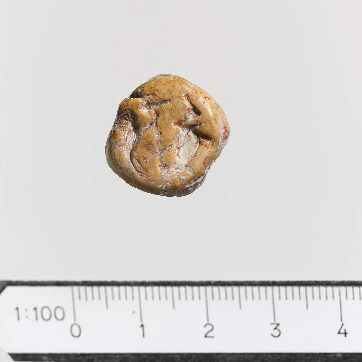 Seal — Unknown