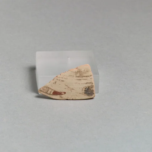 Vase fragment