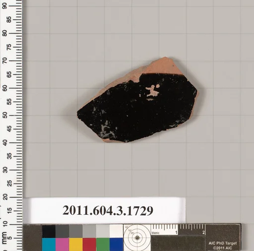 Terracotta fragment of a kylix: Band or lip cup (drinking cup)