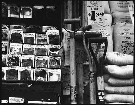 [Hardware and Seed Store Interior]