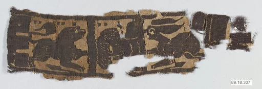 Textile Fragment