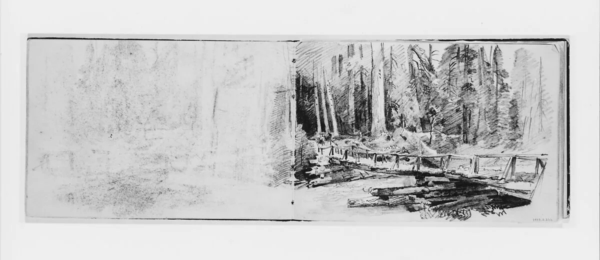 Footbridge in Forest (from Sketchbook X) — William Trost Richards