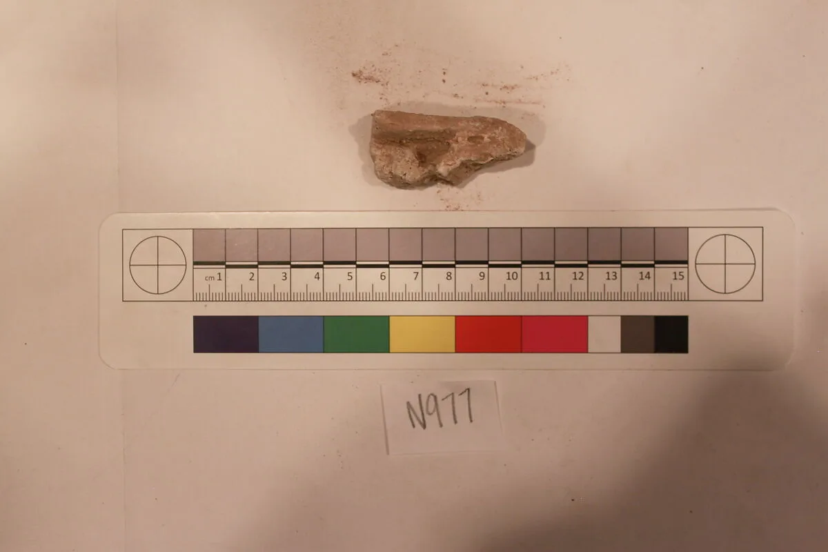 Stucco Fragment — Unknown