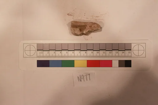 Stucco Fragment