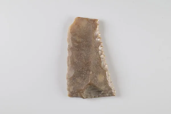 Sickle Insert — Unknown