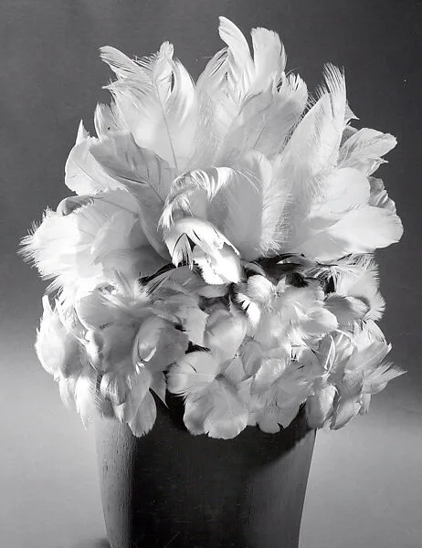 Feathered Headdress — Unknown