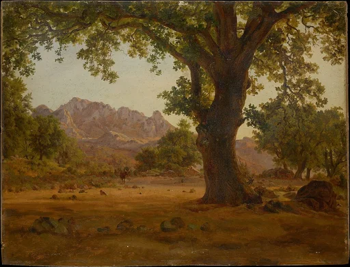 Oak Tree in a Mountainous Landscape