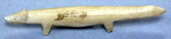 Walrus Ivory Fox — Unknown