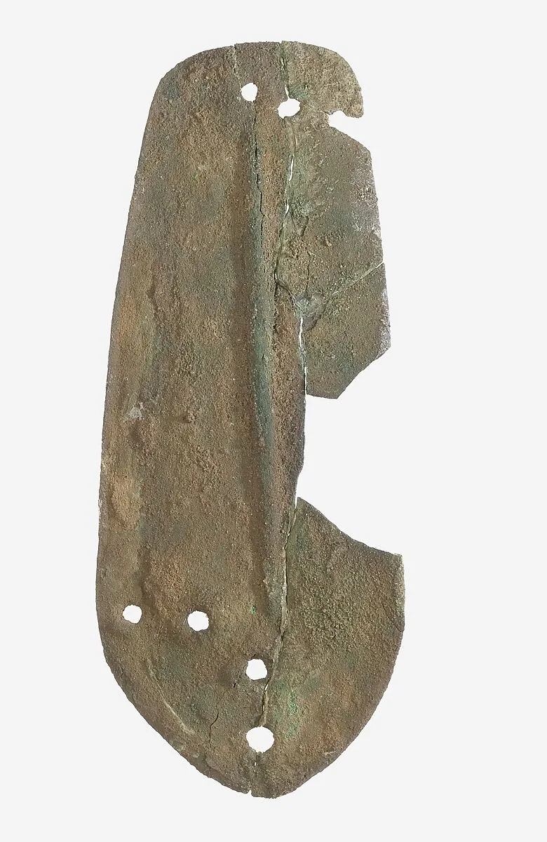 Scale from Armor — Unknown