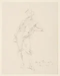 Standing Female Nude