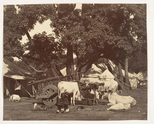 [Scene in Camp]