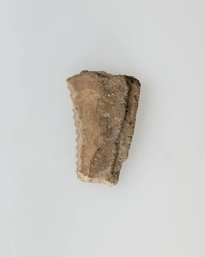 Sickle Insert