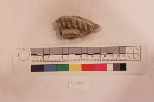 Stucco Fragment