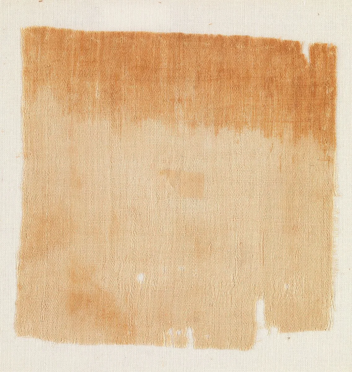 Sample of Cloth — Unknown