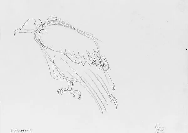 Vulture — John Singer Sargent