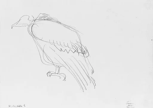 Vulture