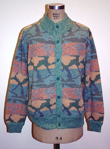 Cardigan sweater
