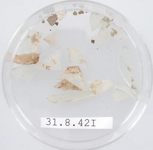Glass Fragments