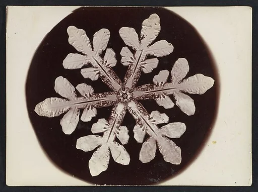 [Snow Crystal]
