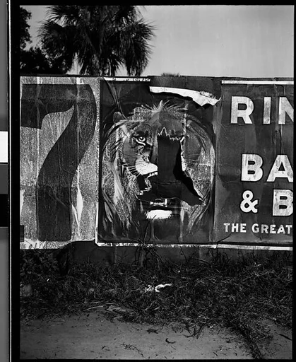 [Torn Ringling Brothers Circus Poster, Florida]