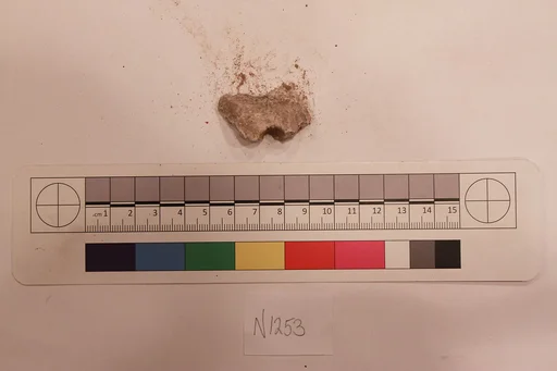 Stucco Fragment