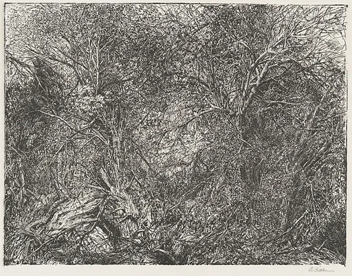 Thicket (Cambridge, New York)