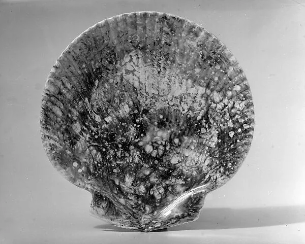 Plate — Josiah Wedgwood and Sons