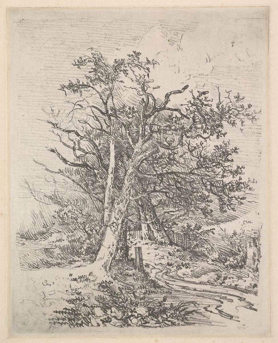 Tree Trunks and Lane — John Crome
