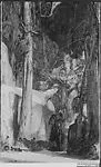 In the Deep Woods — Charles Shepard Chapman